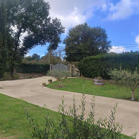 Tenuta Quadrone Cura di Vetralla ภายนอก รูปภาพ