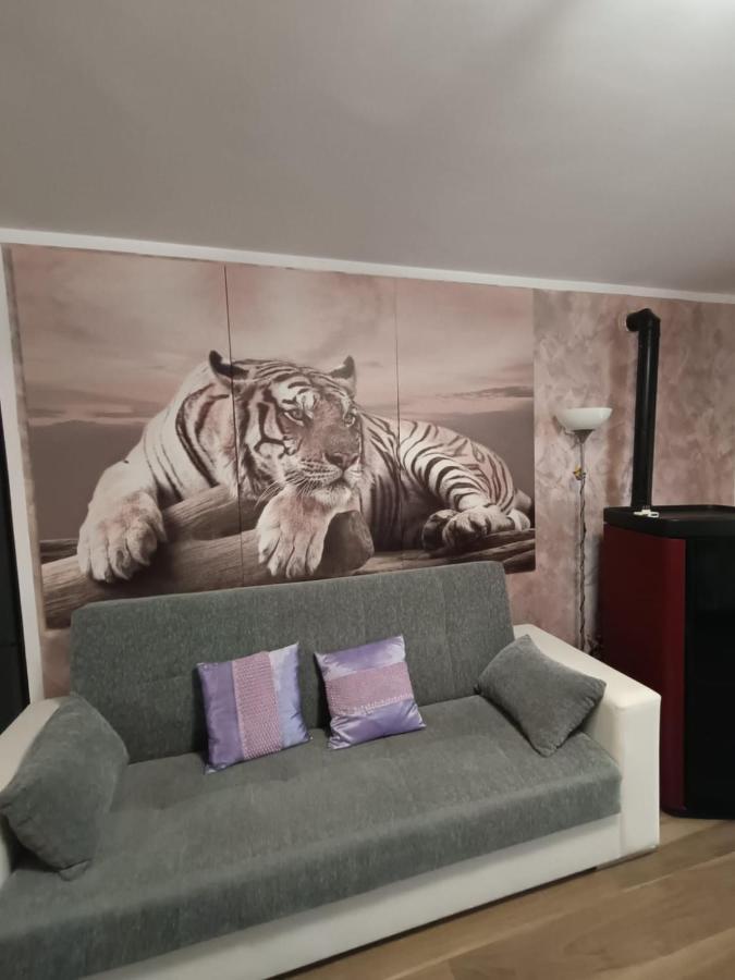 Tenuta Quadrone Cura di Vetralla ภายนอก รูปภาพ