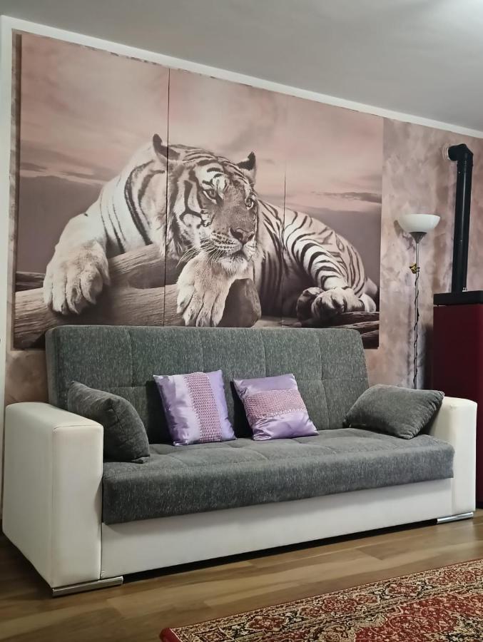 Tenuta Quadrone Cura di Vetralla ภายนอก รูปภาพ