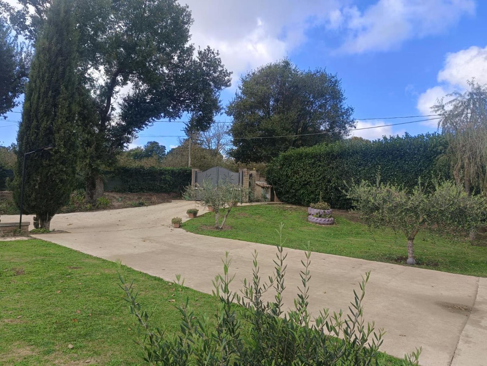 Tenuta Quadrone Cura di Vetralla ภายนอก รูปภาพ
